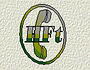 hft dresden